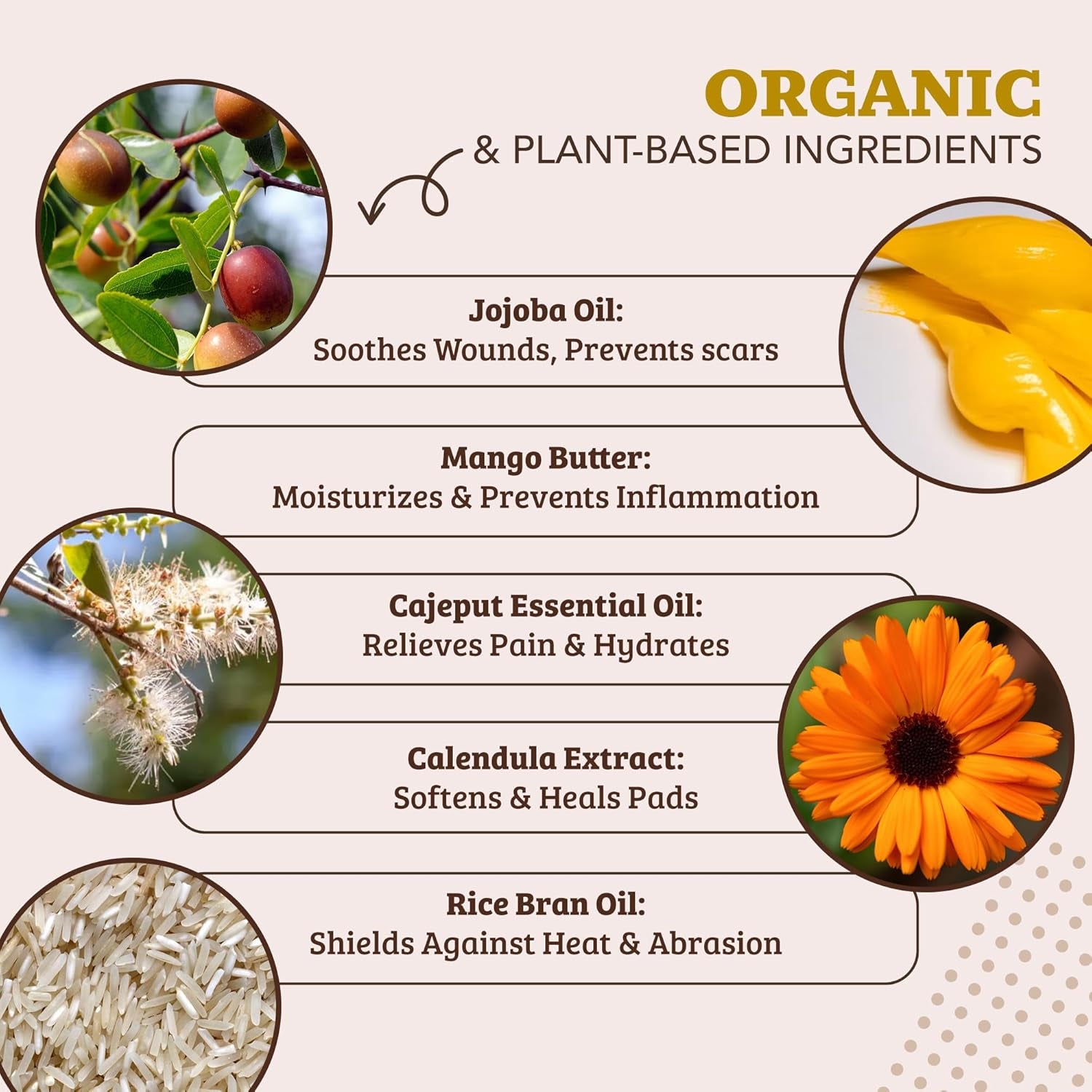 Protection des pattes de chien au beurre de karité et au calendula